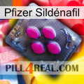 Pfizer Sildénafil 02